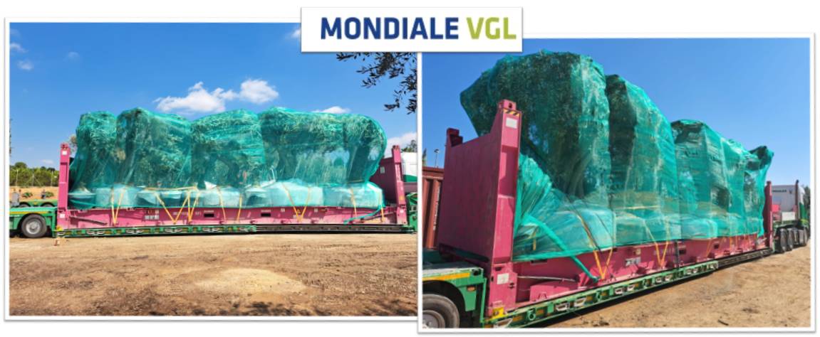 Globalia News - Mondiale VGL